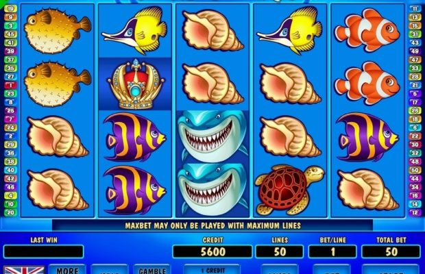 Quante Fish Si Danno A Poker